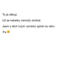  Text sms-ky od kamarádky Marti, když si koupila Shopper Lia: Už se kabelky nemůžu dočkat, jsem z těch tvých výrobků na větvi.